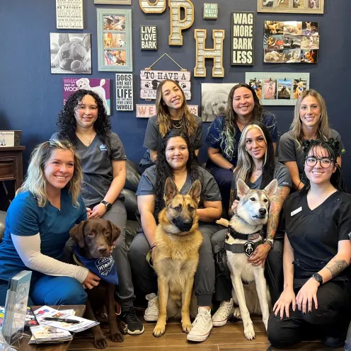 Eight of Catalina Pet Hospital's staff members posing with three dogs